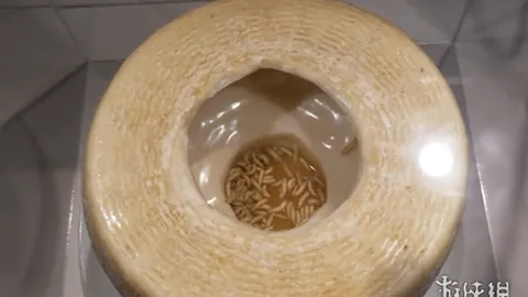 《光影之魅，品质升级》！独家PS+会免大作，错过你就亏大了！